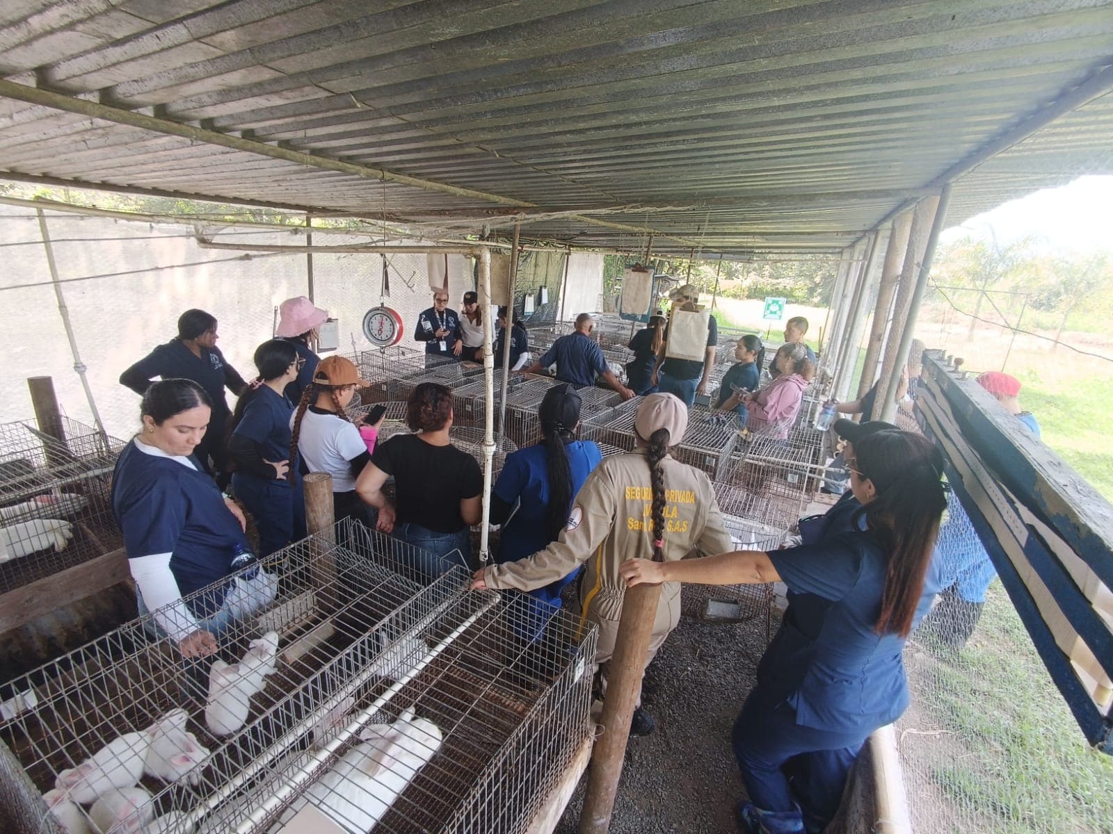 Práctica estudiantil en Instituto Técnico Laboral SIMM, Buga — Foto 71